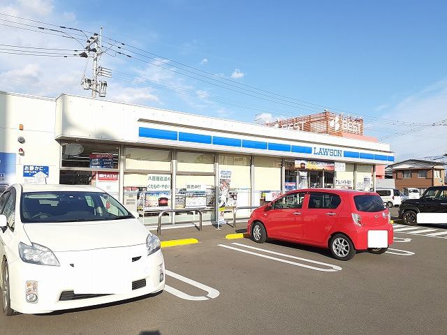 ハートピュア N&T3