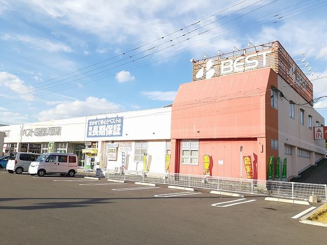 ハートピュア N&T4