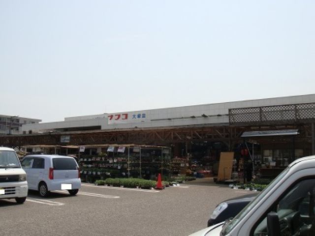 ハートピュア N&T6