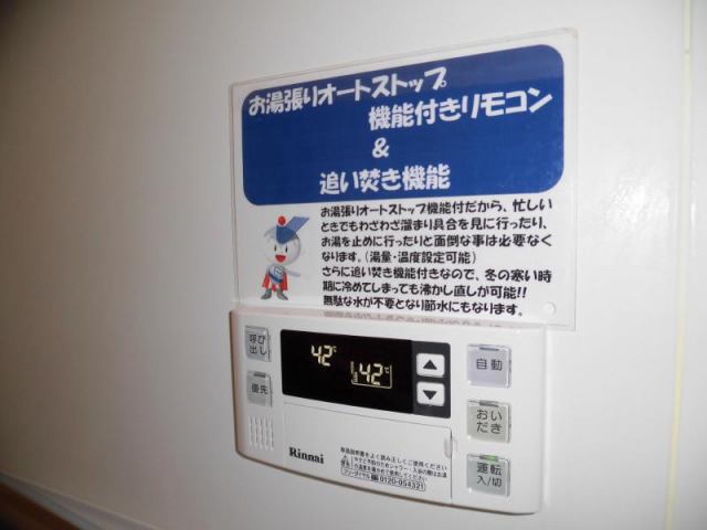セルリア大橋17