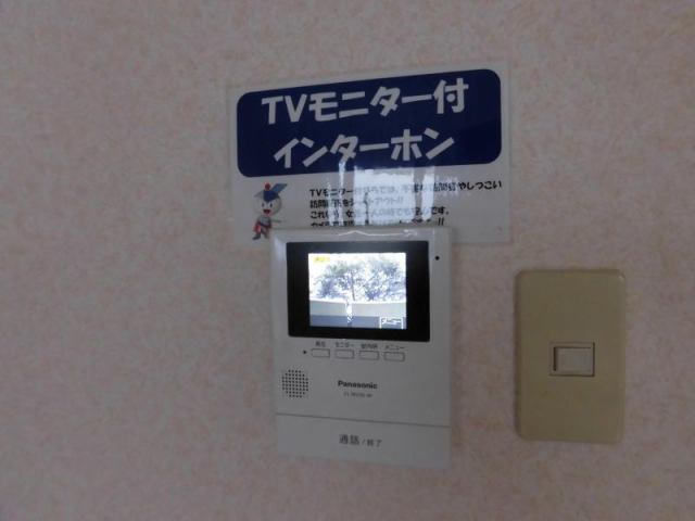 セルリア大橋21