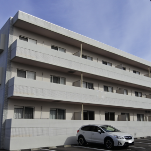 T.S grande 大塚画像